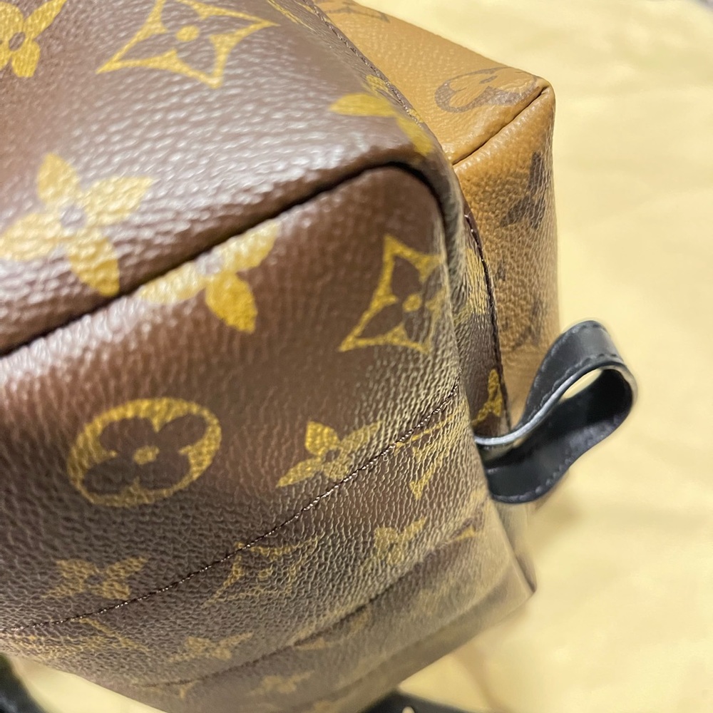 Louisvuitton Palms Spring PM  Reverse - Picture 7 of 11